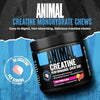 Animal Creatine Chews - Enhanced Creatine Monohydrate 120 Tablets