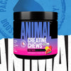 Animal Creatine Chews - Enhanced Creatine Monohydrate 120 Tablets