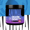 Animal Creatine Chews - Enhanced Creatine Monohydrate 120 Tablets