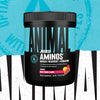 ANIMAL, JUICED AMINOS - Muscle Recovery - 366G